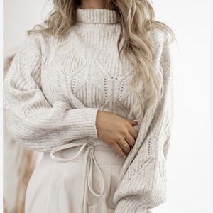 LUSH Turtleneck Sweater